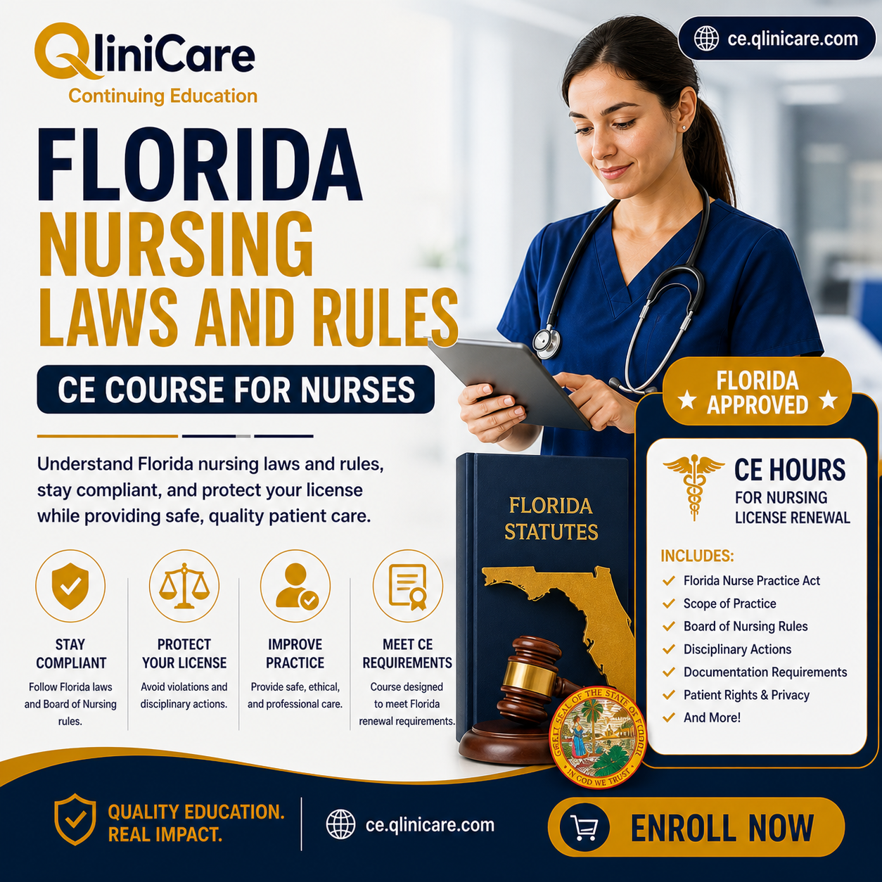 Florida Nursing and Laws